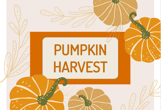 Pumpkin Harvest